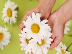 Белите цветя лекуват психиката, жълтите – инфекции