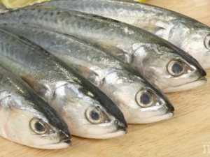 500 кг заразена риба стигна до българския пазар
 