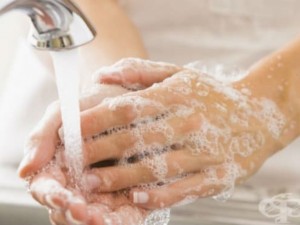 5000 бактерии дневно се лепят по ръцете ни
 