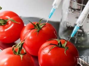 Парламентът забрани детските храни с ГМО
 