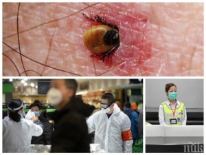 Нов смъртоносен вирус в Китай! Предава се от кърлежи