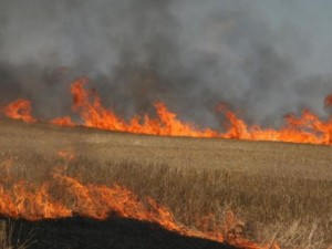 Потушиха всички пожари в област Хасково
 