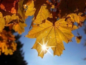 Циганско лято до Никулден! Очакват се температури близо до абсолютния максимум за октомври – между 34 и 38 градуса