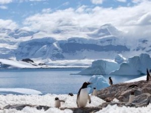 „Излел е Дельо хайдутин“ огласи Антарктида