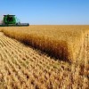 Реколтата от зърно е добра – 6,5 млн. тона
 