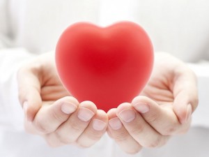 Сърцето остарява по-бързо от другите органи
 