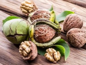 Ликьорът от зелени орехи – цяр №1 за щитовидната жлеза 
 