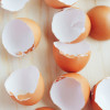 Черупки от яйца – натурален лек за здрави кости