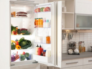 Хладилникът – най-важната вещ в дома на българина