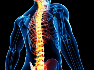 7 златни правила за здрав гръбначен стълб 
 