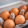 Яйце с оцет спасява от дископатия за 5 дни