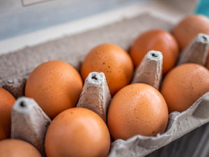 Яйце с оцет спасява от дископатия за 5 дни