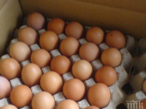 Пробутват ни украински яйца за български
