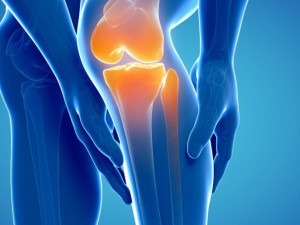 Лесна гимнастика срещу болка в коленете
 