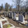 Управниците богатеят, а народът пълни гробищните паркове