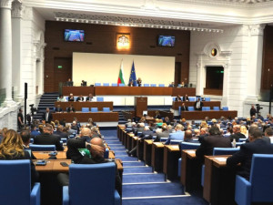 Вотове до скъсване – не им пречете да се излагат!