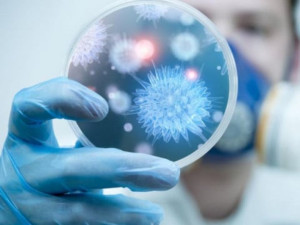 Откриха смъртоносна бактерия в замразена храна