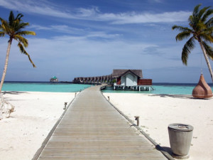 Нова година у нас по-скъпа от Дубай
 