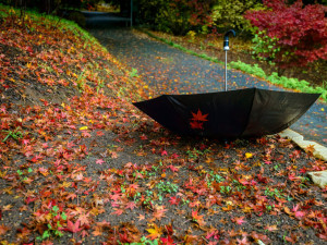 Климатолог: Такъв октомври в България не е имало от 100 години
