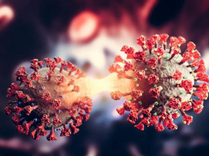 Франкенщайн ни тръшка на легло за седмица