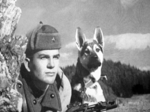 Спомени от граничната застава