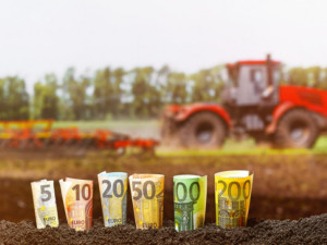 Какво искаха Бащите на демокрацията за Прехода