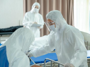 Прилепи носят смъртоносния&nbsp;вирус Нипа
