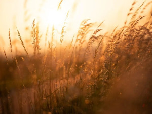 
Експерти предупреждават:&nbsp;Чака ни екстремно време
&nbsp;