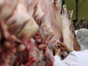 Животновъди:&nbsp;С триста зора продадохме агнетата