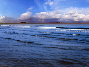 Опасна бактерия &bdquo;човекоядец&ldquo; дебне в Черно море